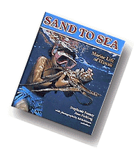 Sand to Sea book
