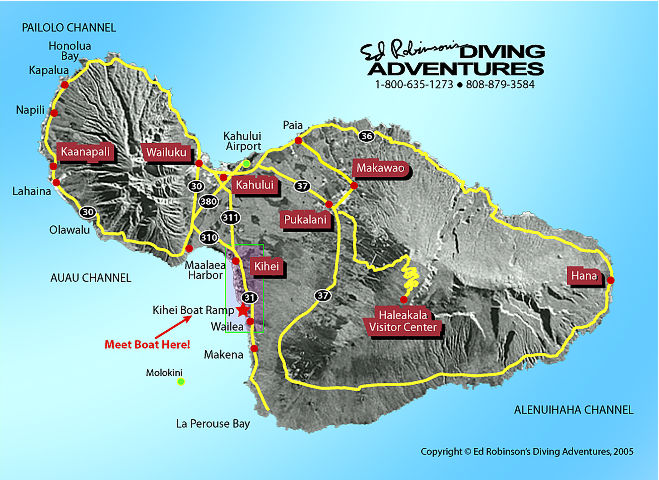 Maui Roadmap