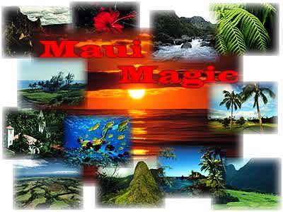 Maui Magic Screen Saver