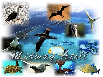 Midway Atoll Screen Saver